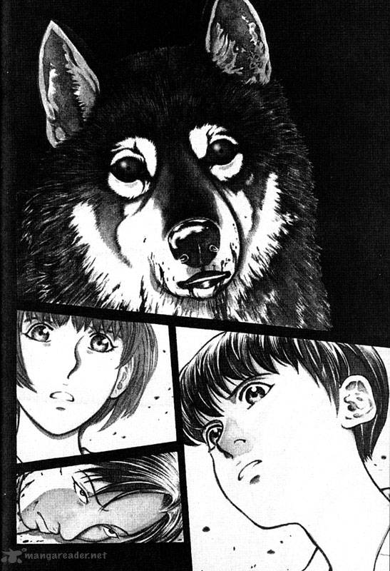 Inugami 11 80