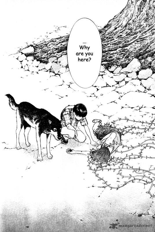 Inugami 13 165