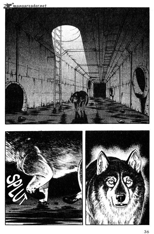 Inugami 6 35