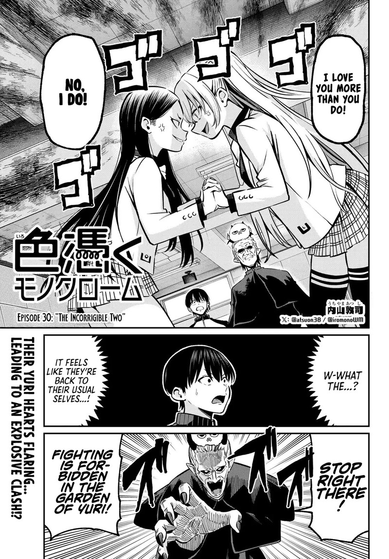 Irozuku Monochrome 30 1