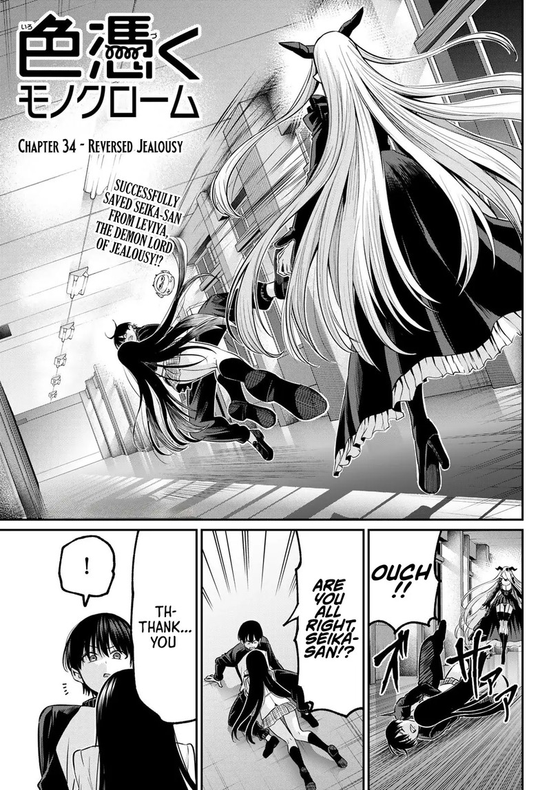 Irozuku Monochrome 34 1