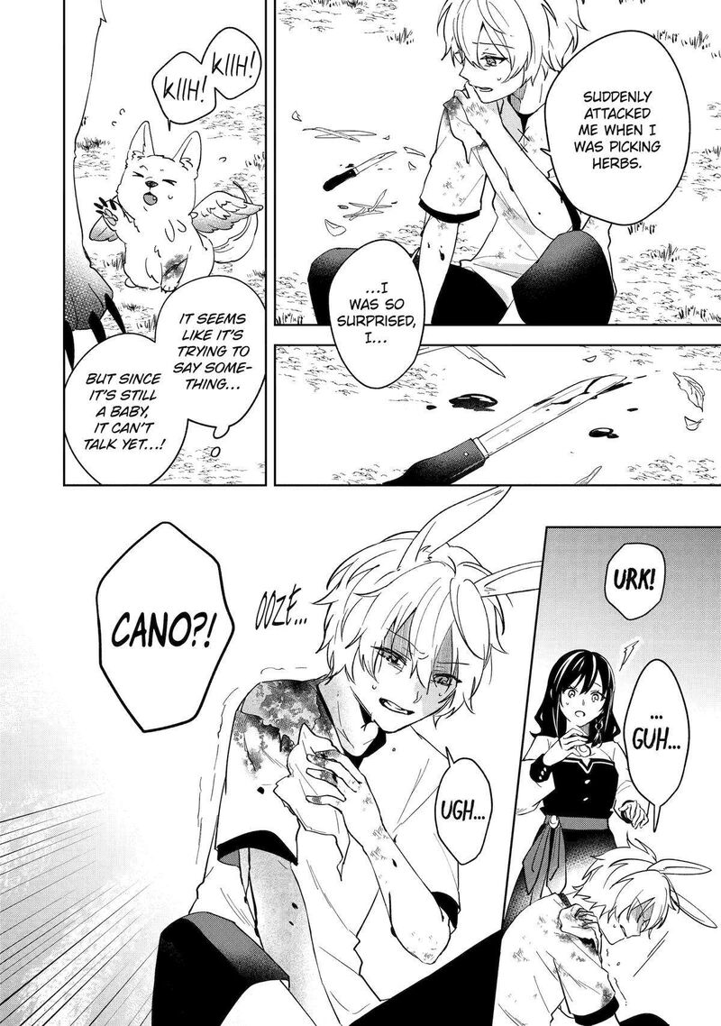 Isekai De Pension Hajimemashita Sekai De YuIItsu No Kuro Majo Desu Ga Kono Chikara Wa Okyaku Sama No Tame Ni Tsukaimasu 9 8