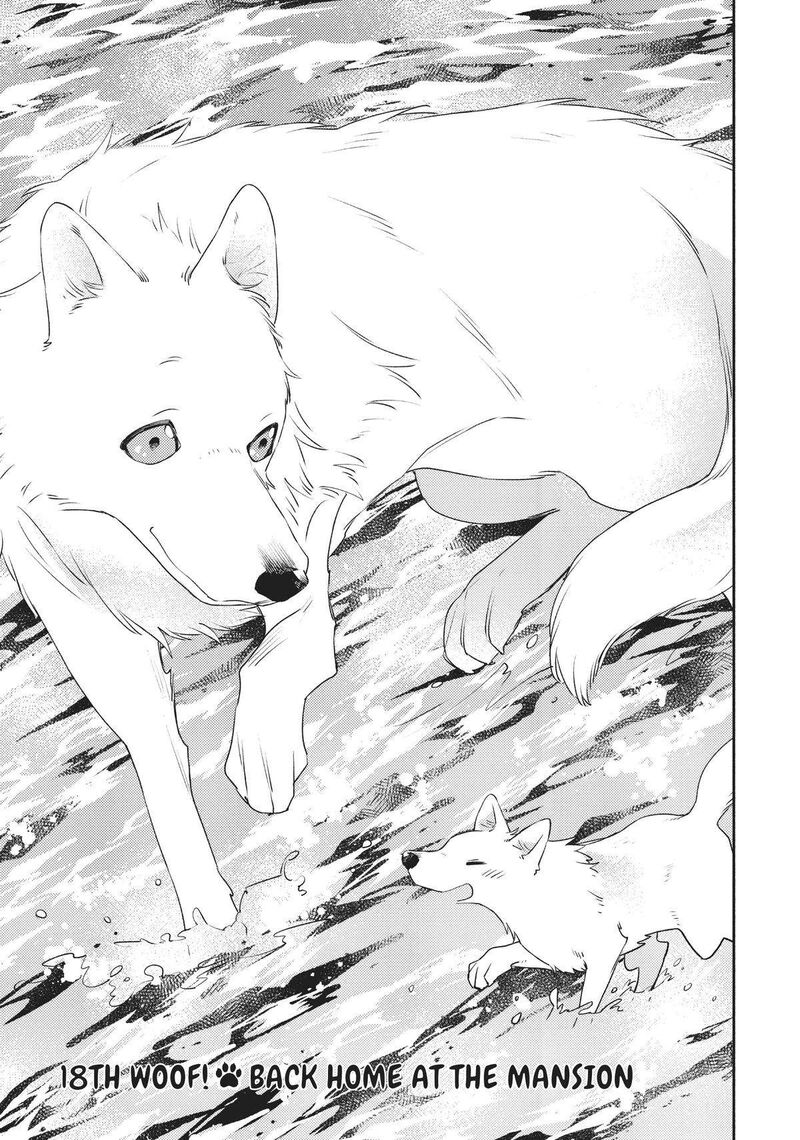 Isekai Tensei Shitara Aiken Ga Saikyou Ni Narimashita 18 1