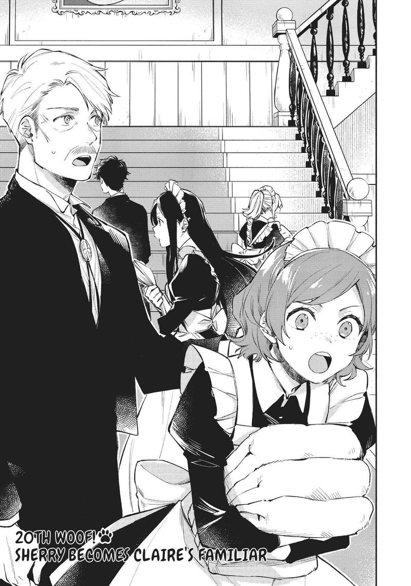 Isekai Tensei Shitara Aiken Ga Saikyou Ni Narimashita 20 1