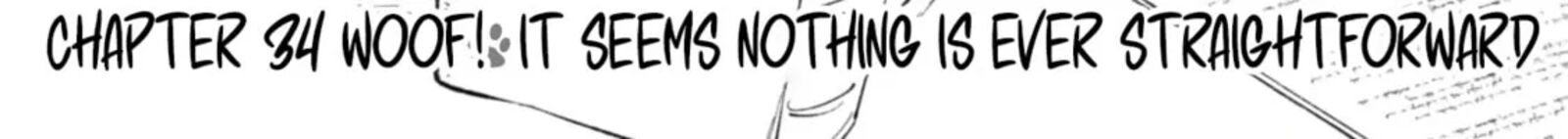 Isekai Tensei Shitara Aiken Ga Saikyou Ni Narimashita 34 4