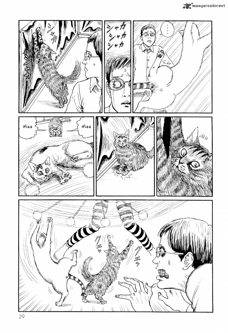 Ito Junjis Cat Diary 3 5