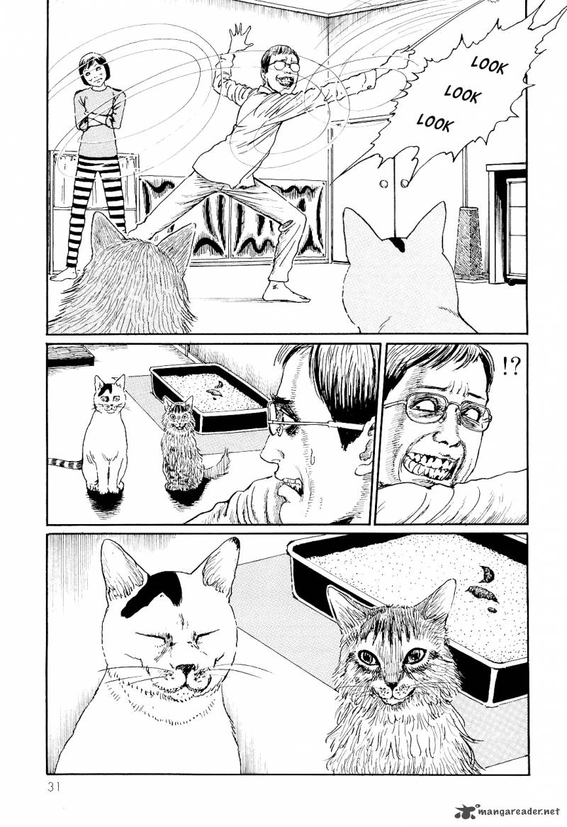Ito Junjis Cat Diary 3 7