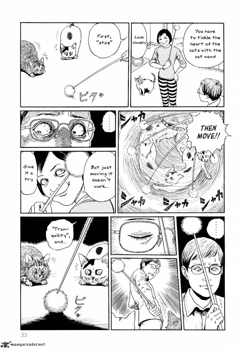 Ito Junjis Cat Diary 3 9