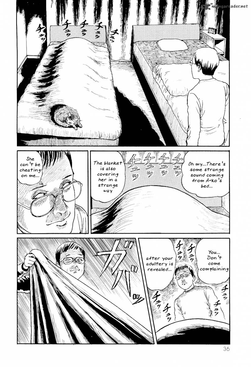 Ito Junjis Cat Diary 4 2