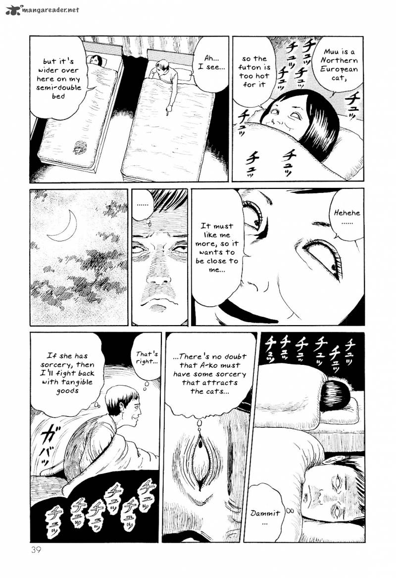 Ito Junjis Cat Diary 4 5