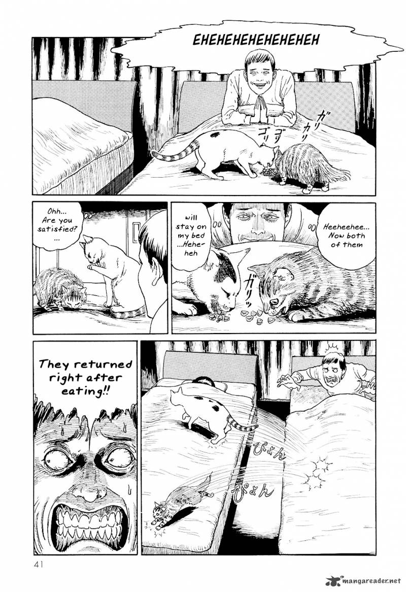 Ito Junjis Cat Diary 4 7