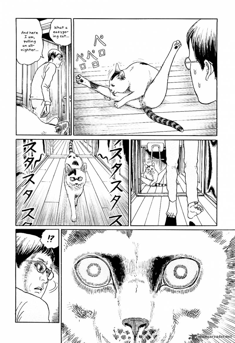 Ito Junjis Cat Diary 5 4