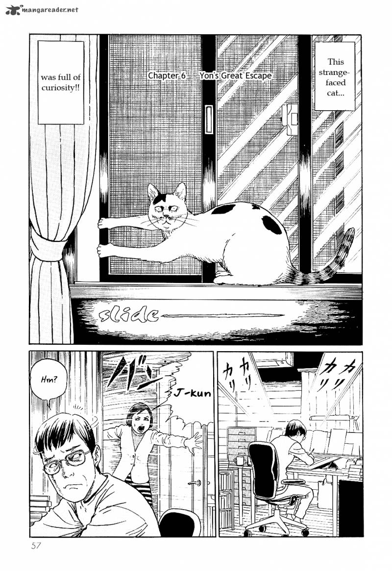 Ito Junjis Cat Diary 6 1