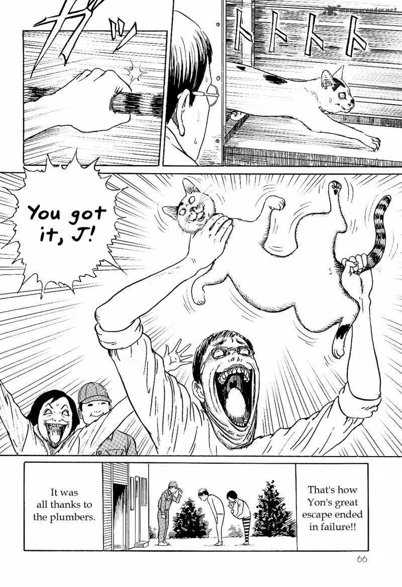 Ito Junjis Cat Diary 6 10