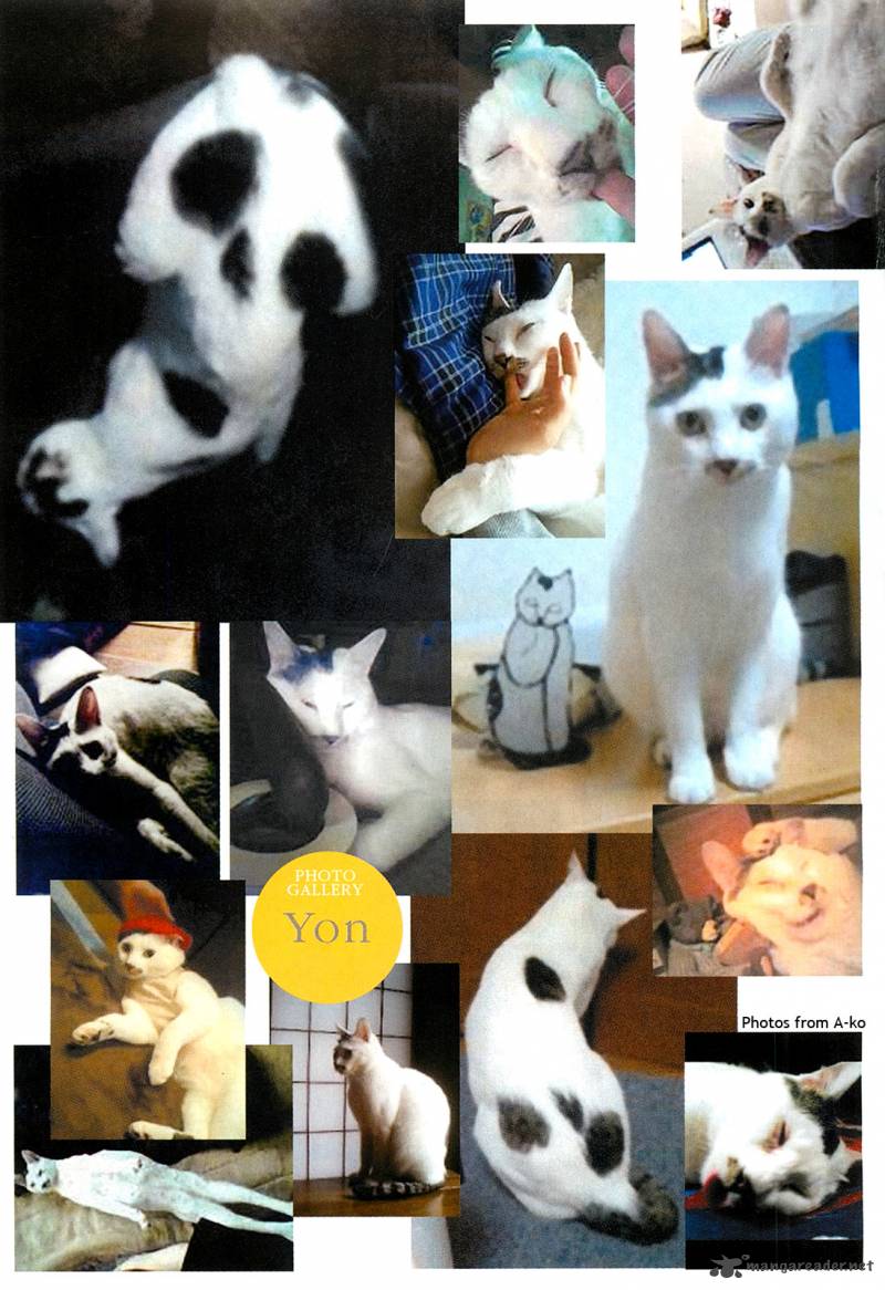 Ito Junjis Cat Diary 6 11