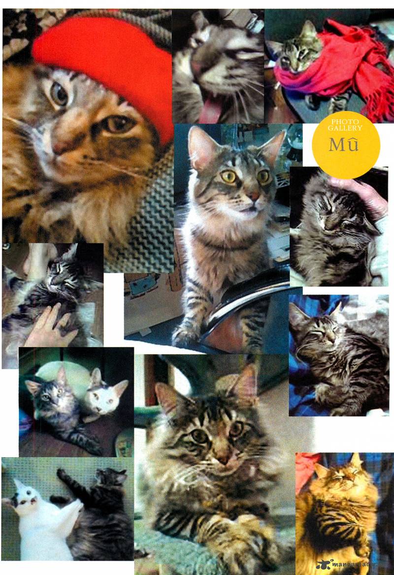 Ito Junjis Cat Diary 6 12