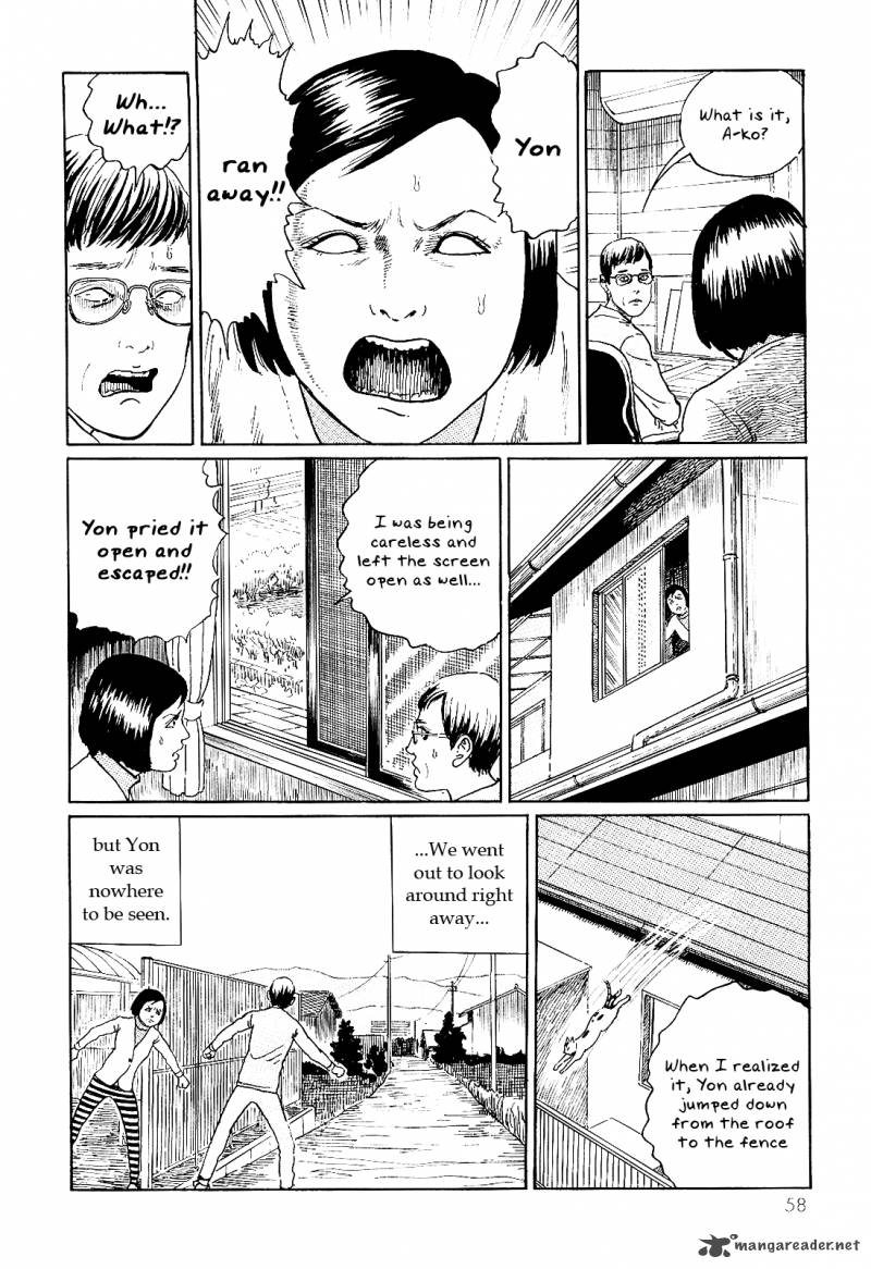 Ito Junjis Cat Diary 6 2