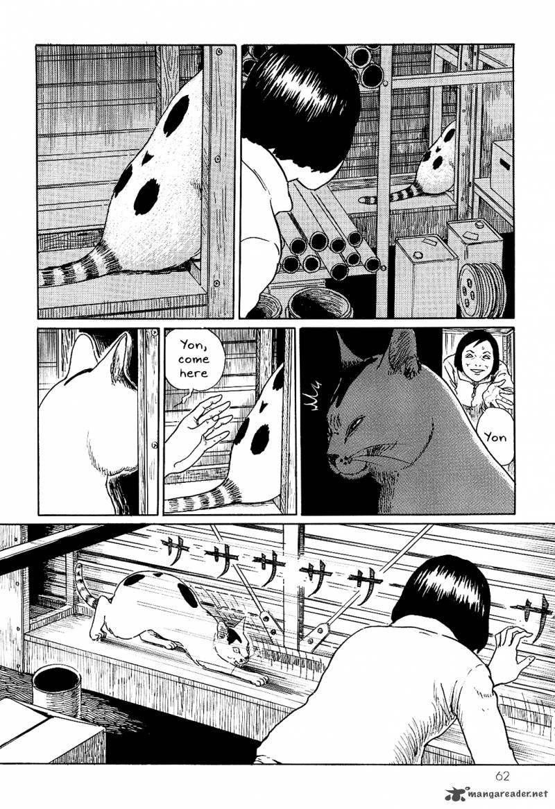 Ito Junjis Cat Diary 6 6