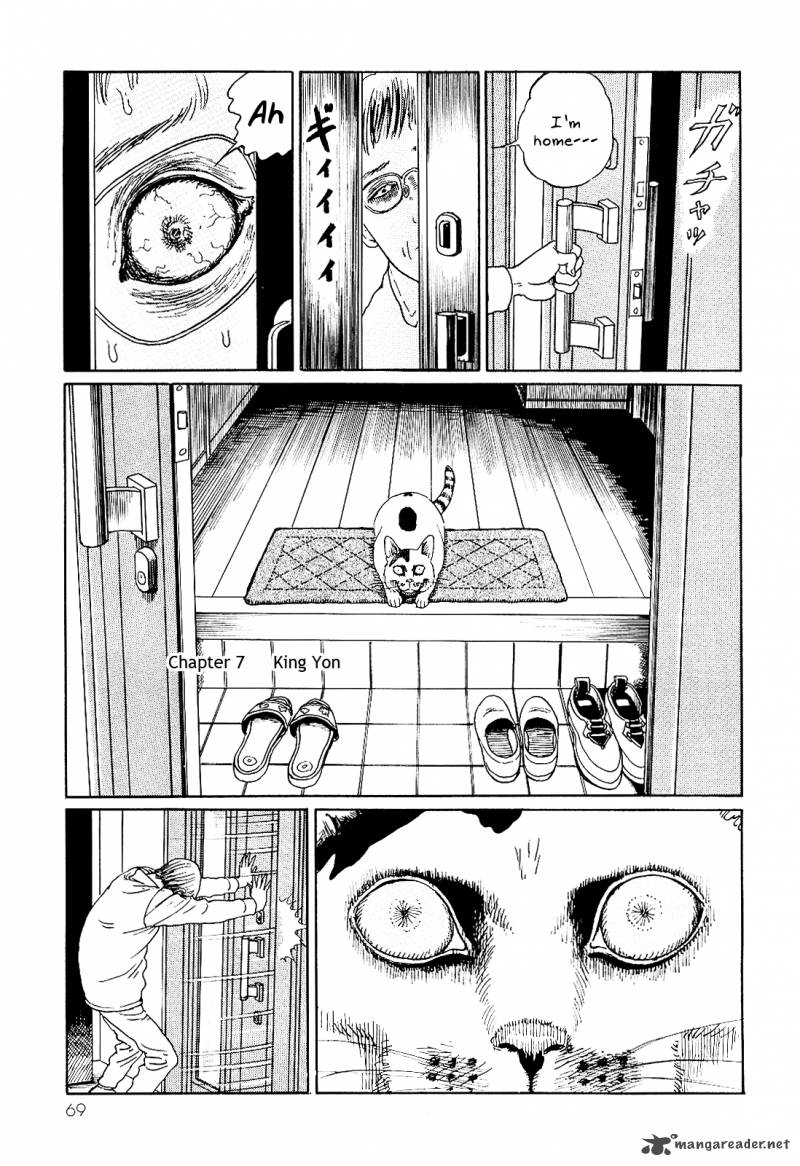 Ito Junjis Cat Diary 7 1