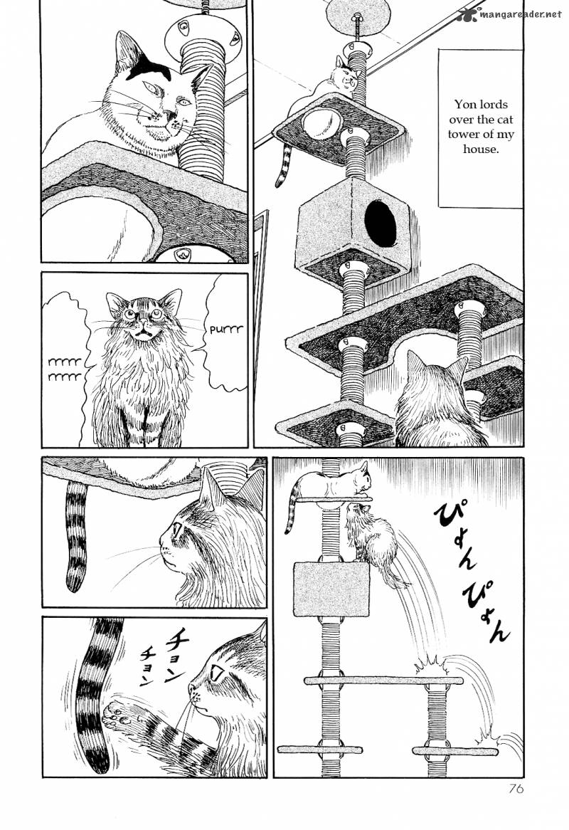 Ito Junjis Cat Diary 7 8