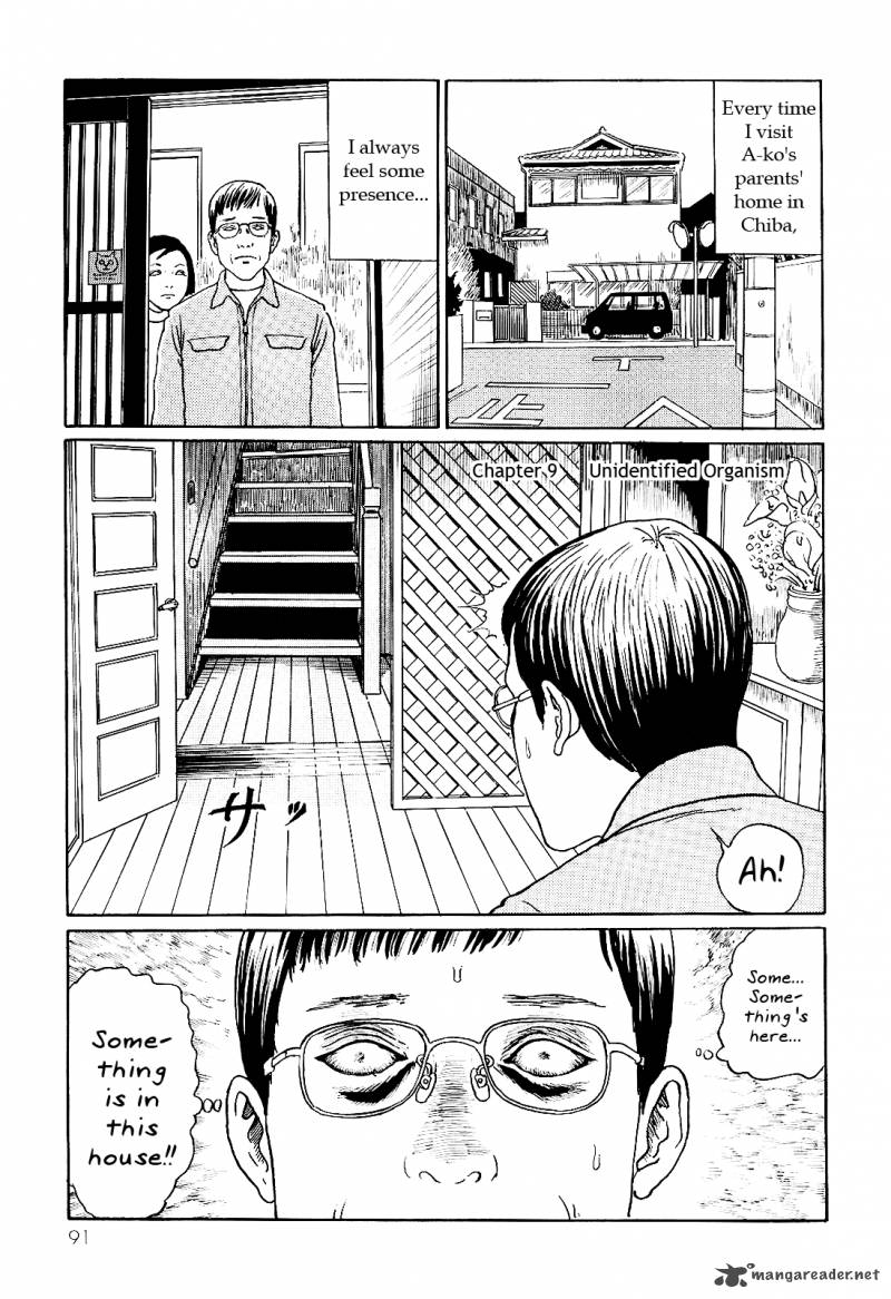 Ito Junjis Cat Diary 9 1