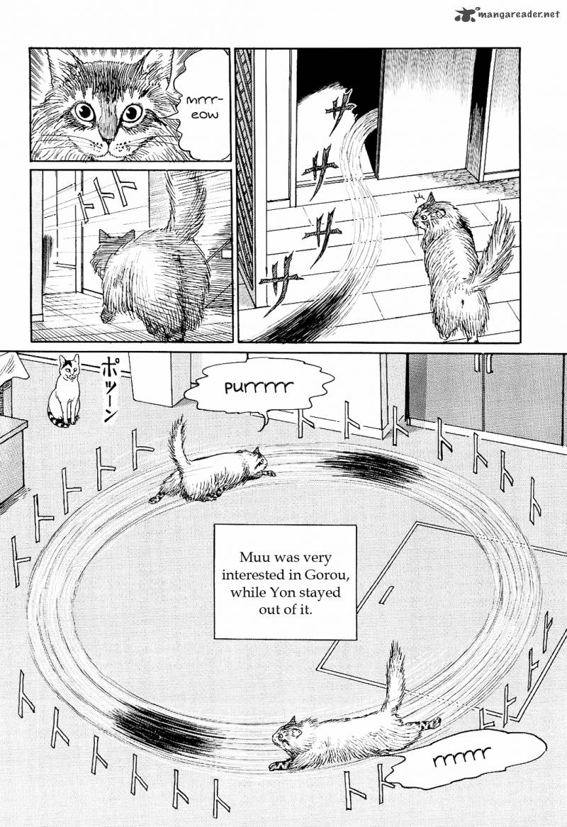 Ito Junjis Cat Diary 9 10