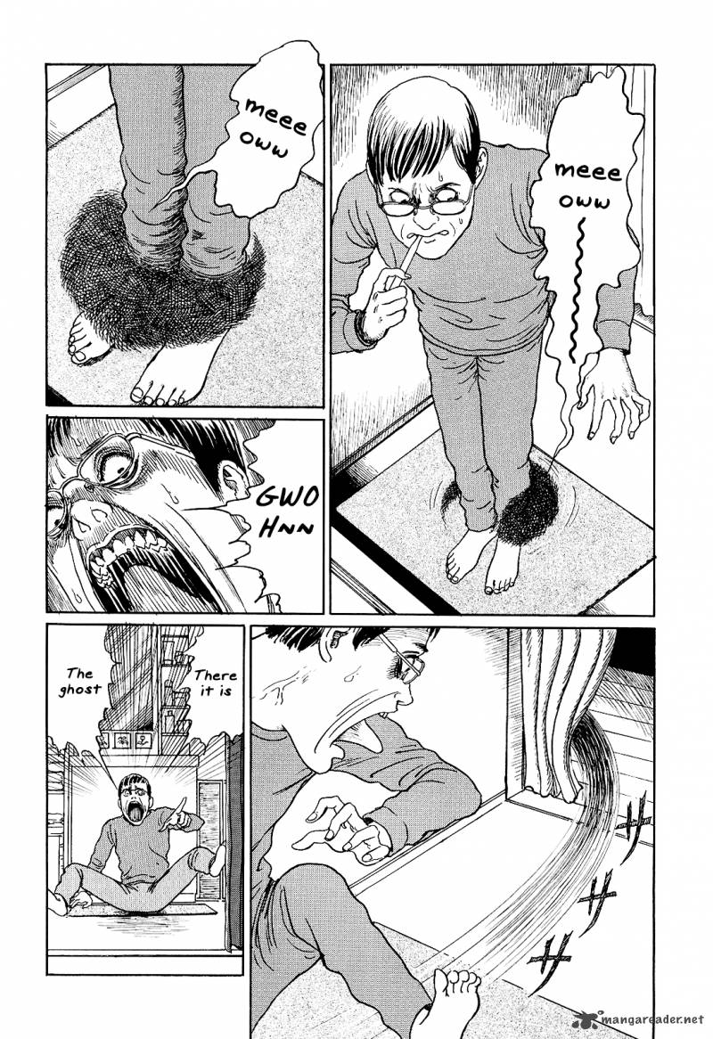Ito Junjis Cat Diary 9 6