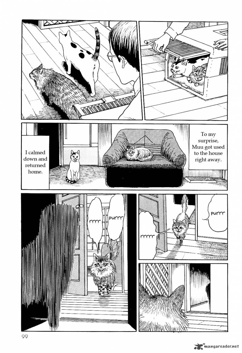 Ito Junjis Cat Diary 9 9