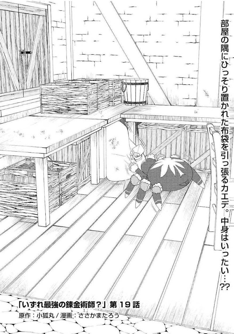 Izure Saikyou No Renkinjutsushi 19 2