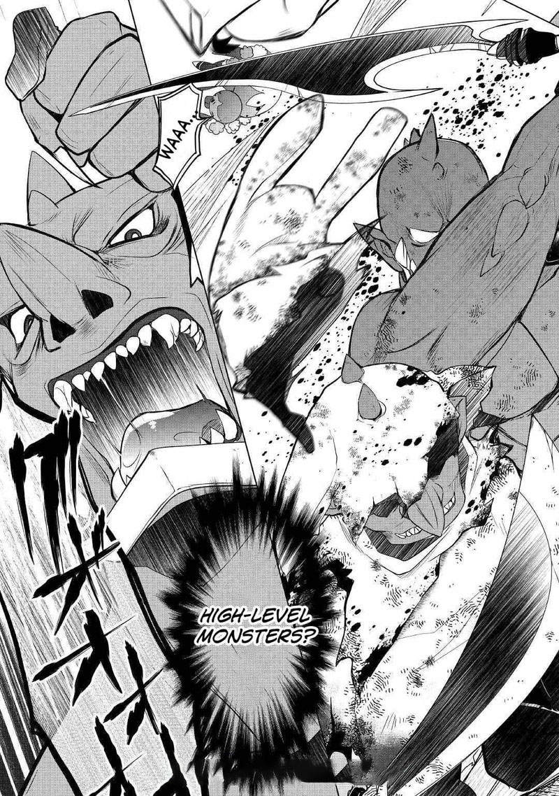 Izure Saikyou No Renkinjutsushi 20 23
