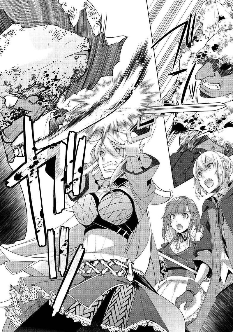 Izure Saikyou No Renkinjutsushi 20 24