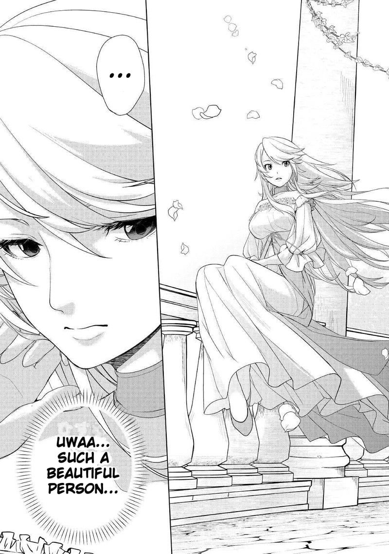Izure Saikyou No Renkinjutsushi 9 17