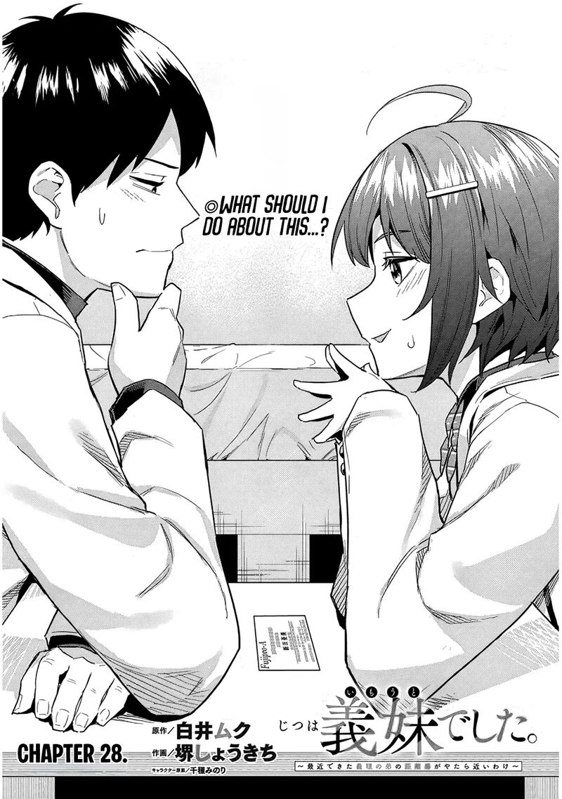 Jitsu Wa Imouto Deshita 28 2