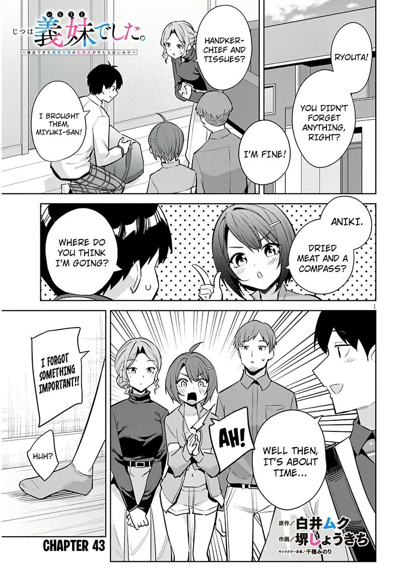 Jitsu Wa Imouto Deshita 43 2