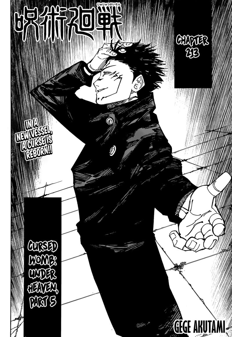 Jujutsu Kaisen 213 2