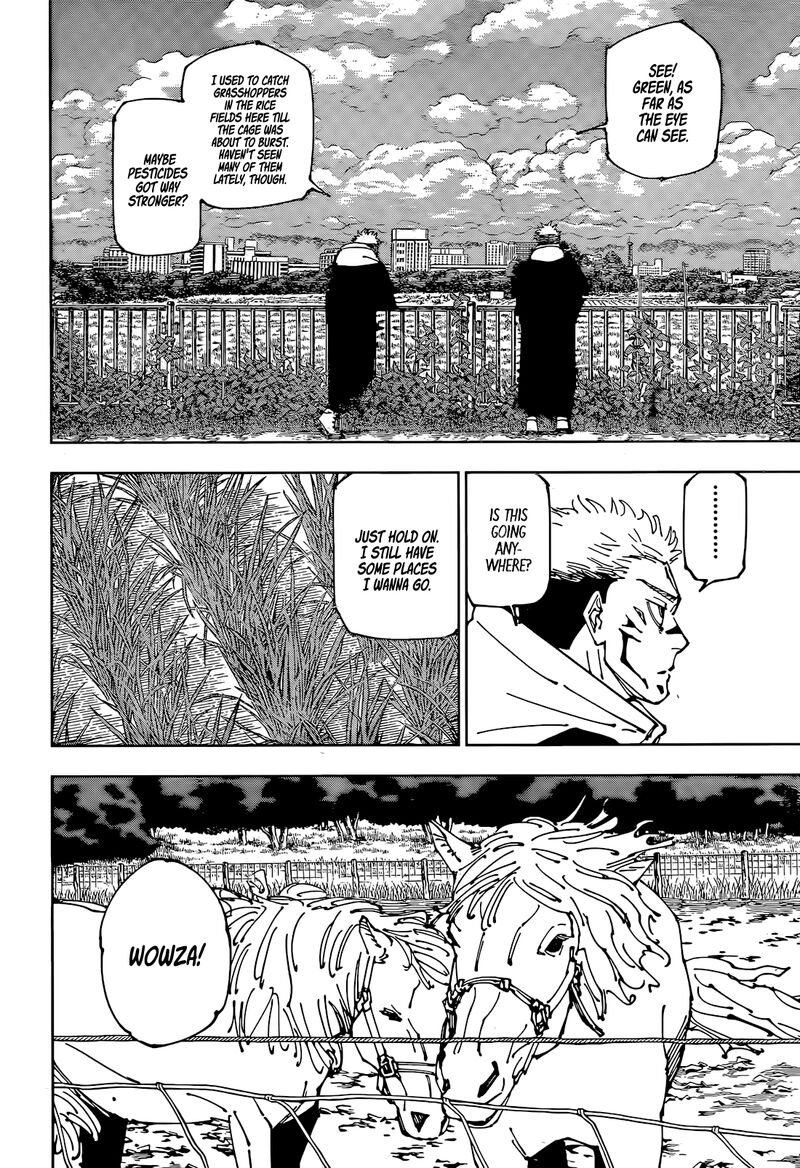 Jujutsu Kaisen 265 7