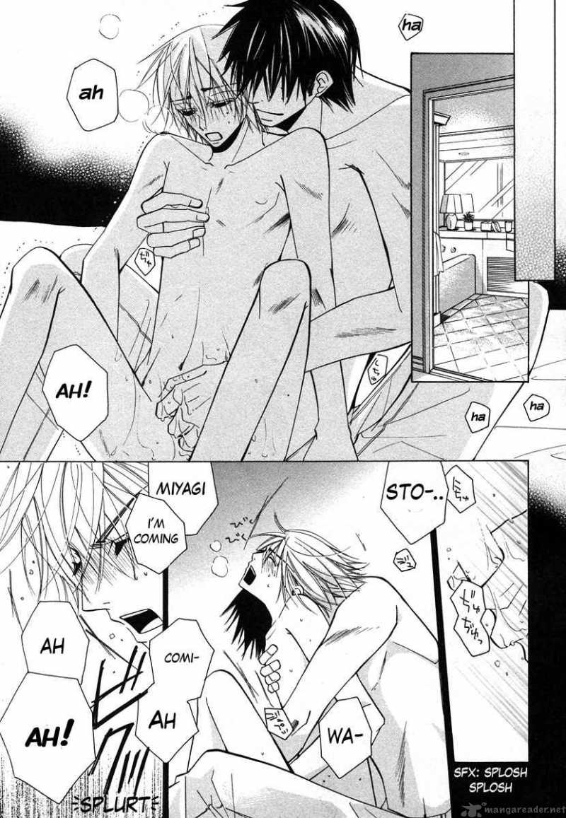 Junjou Romantica 32 34