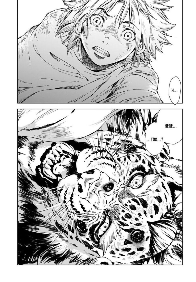 Kamudo 8b 13