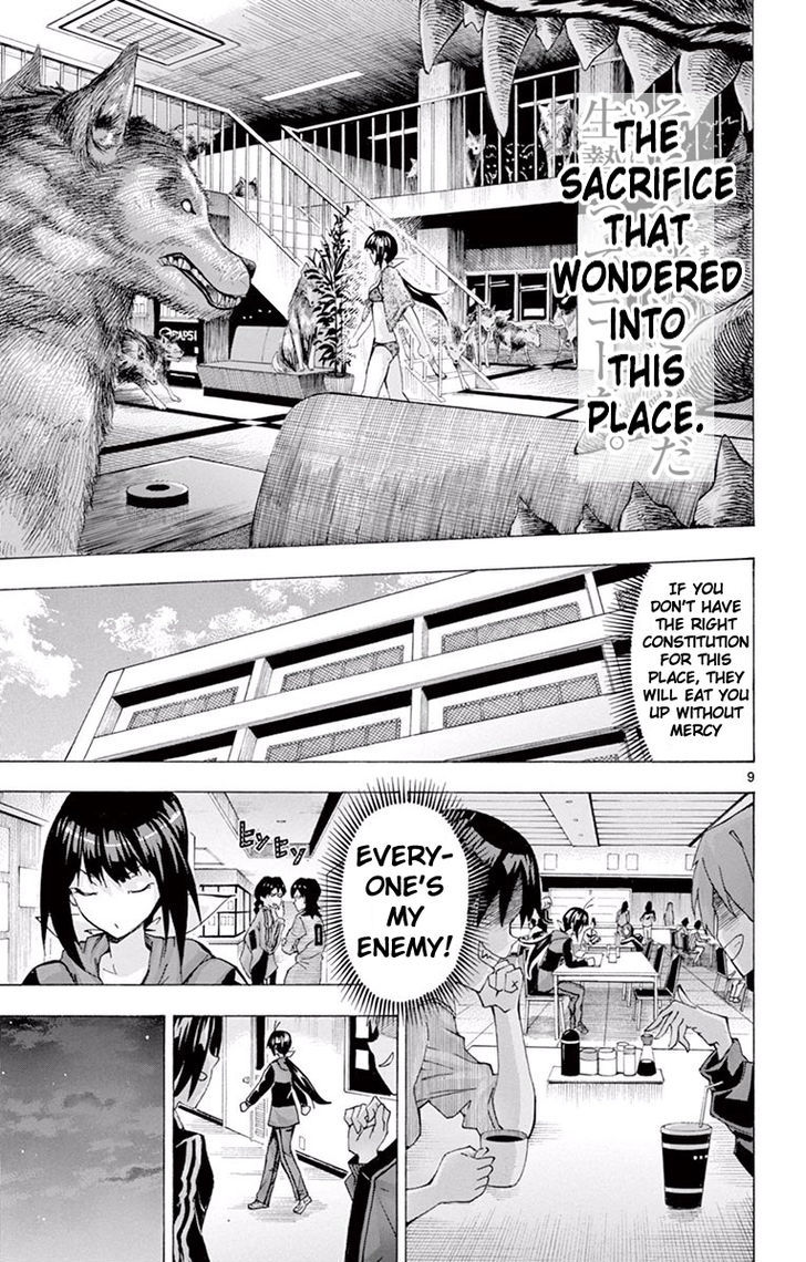 Keijo 116 9