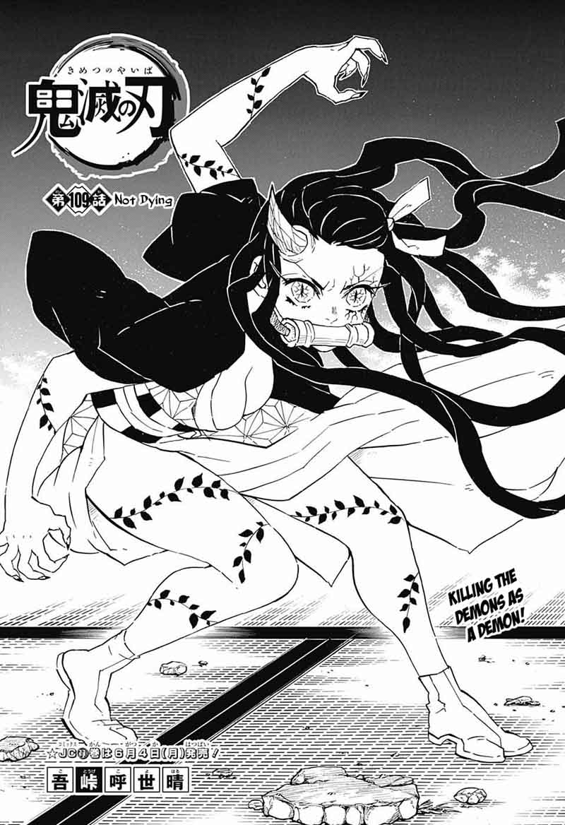 Kimetsu No Yaiba 109 1