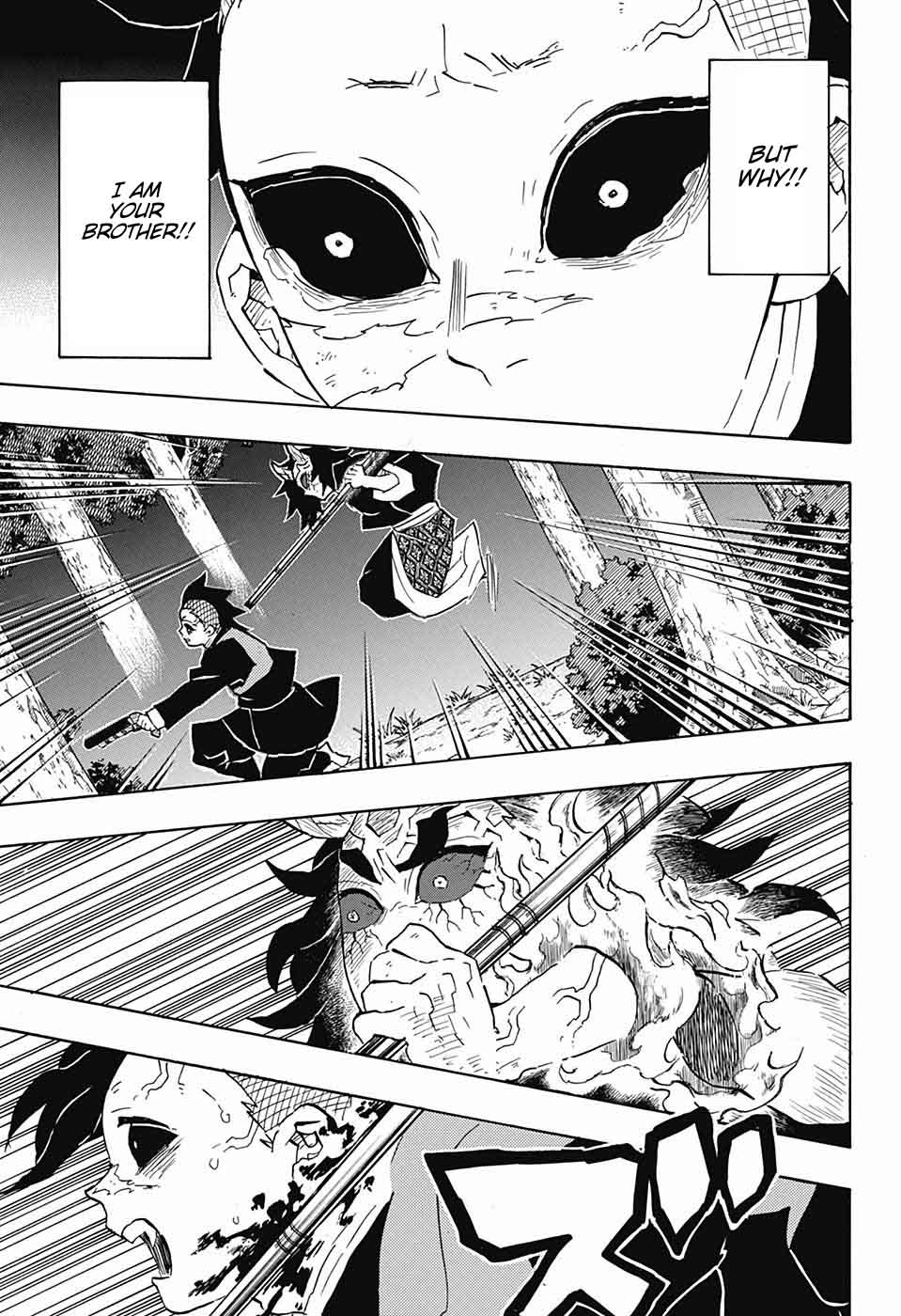 Kimetsu No Yaiba 115 13