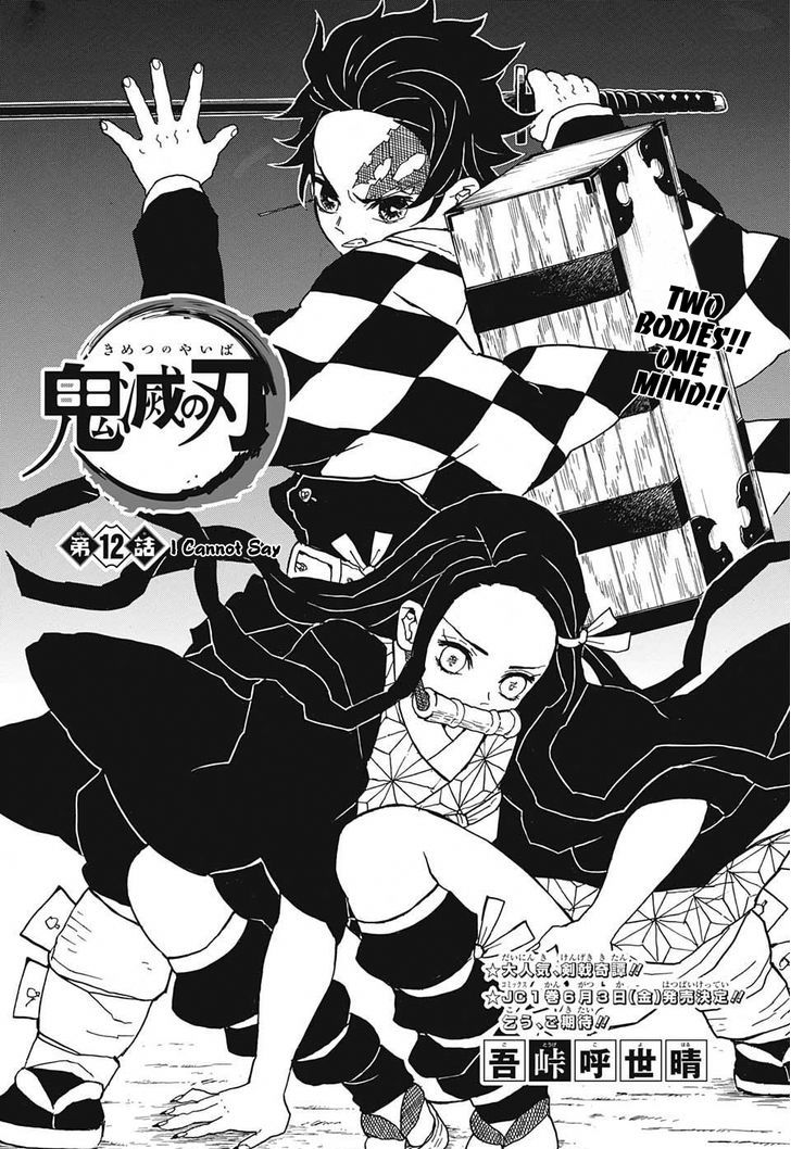 Kimetsu No Yaiba 12 1