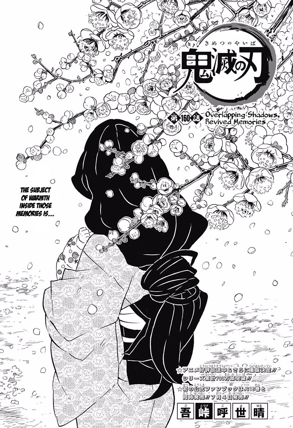 Kimetsu No Yaiba 160 1