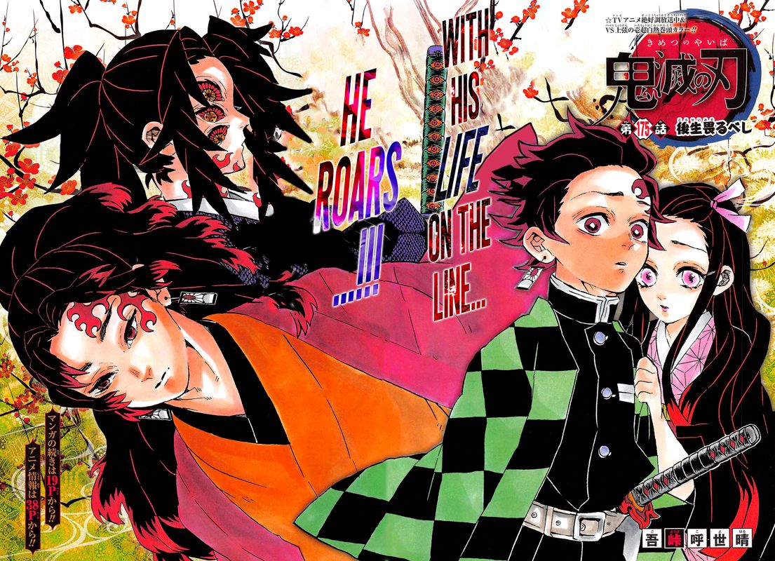 Kimetsu No Yaiba 175 3