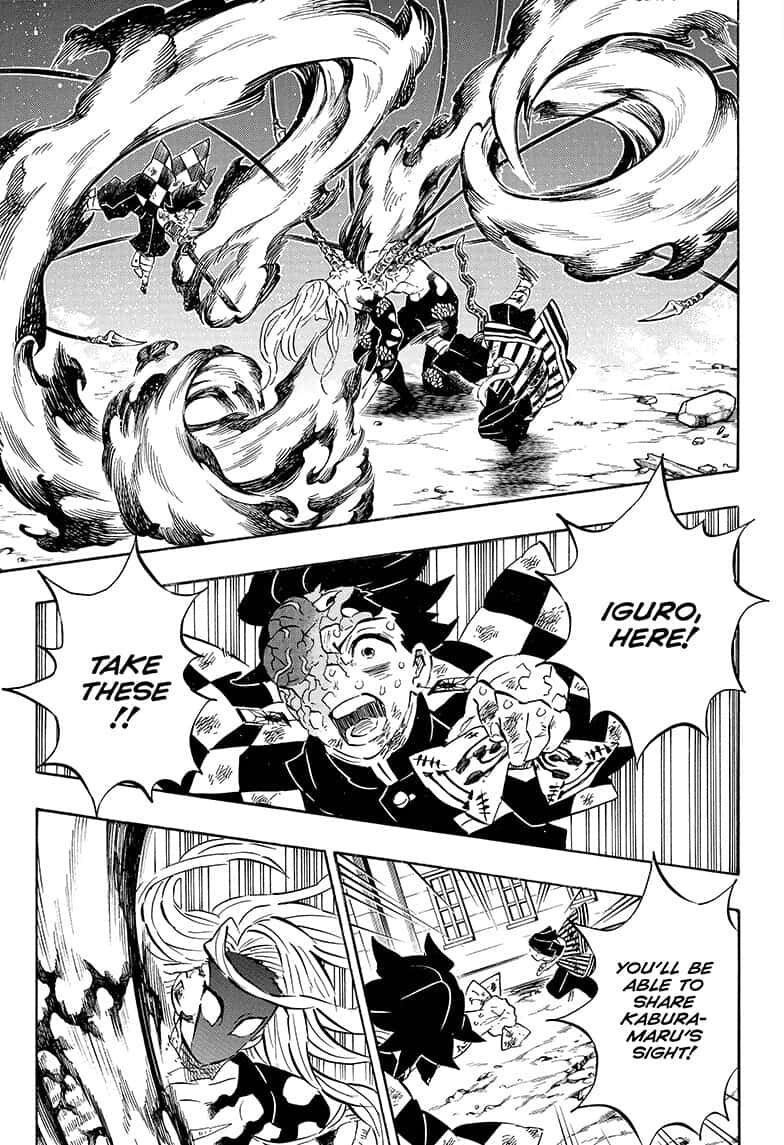 Kimetsu No Yaiba 195 13