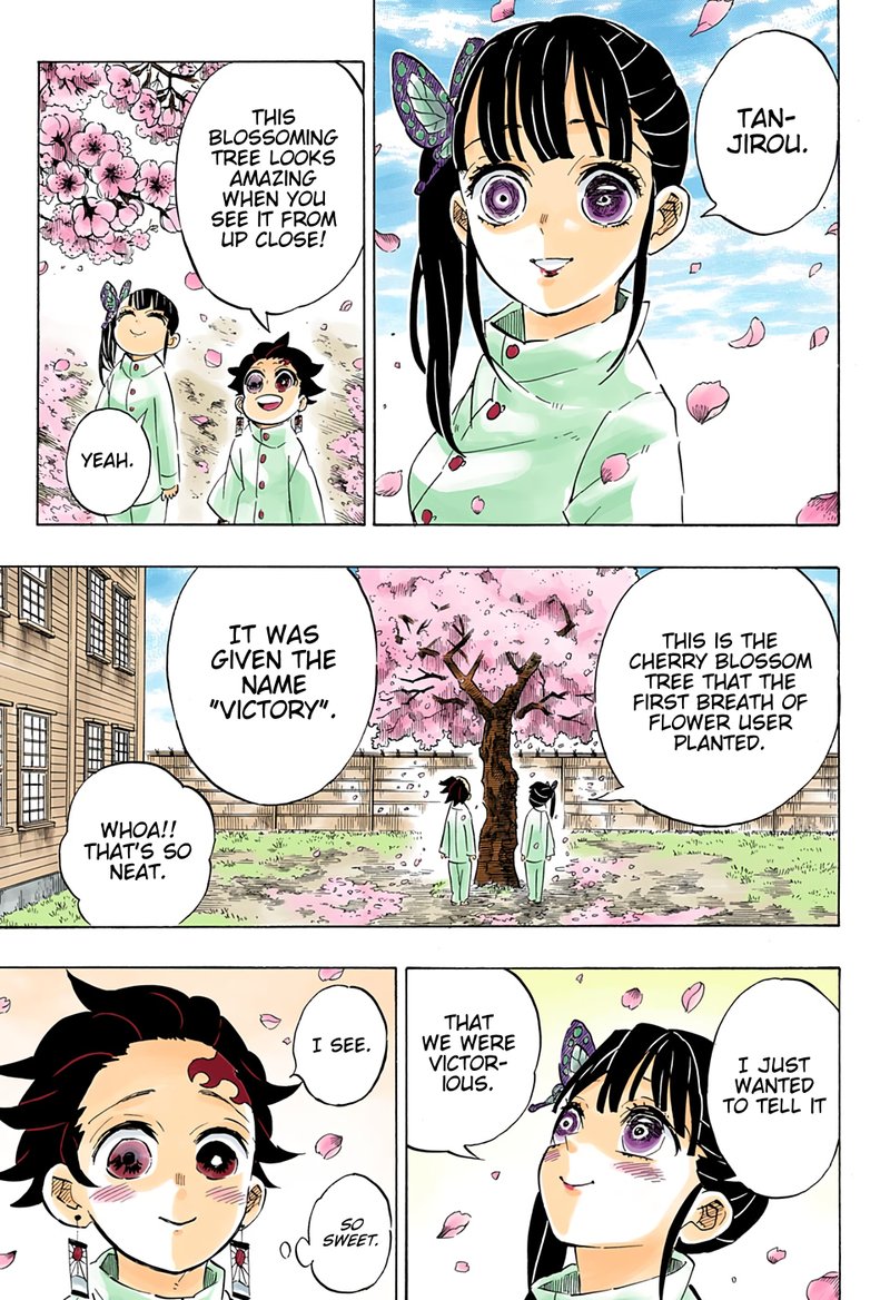 Kimetsu No Yaiba 204 17