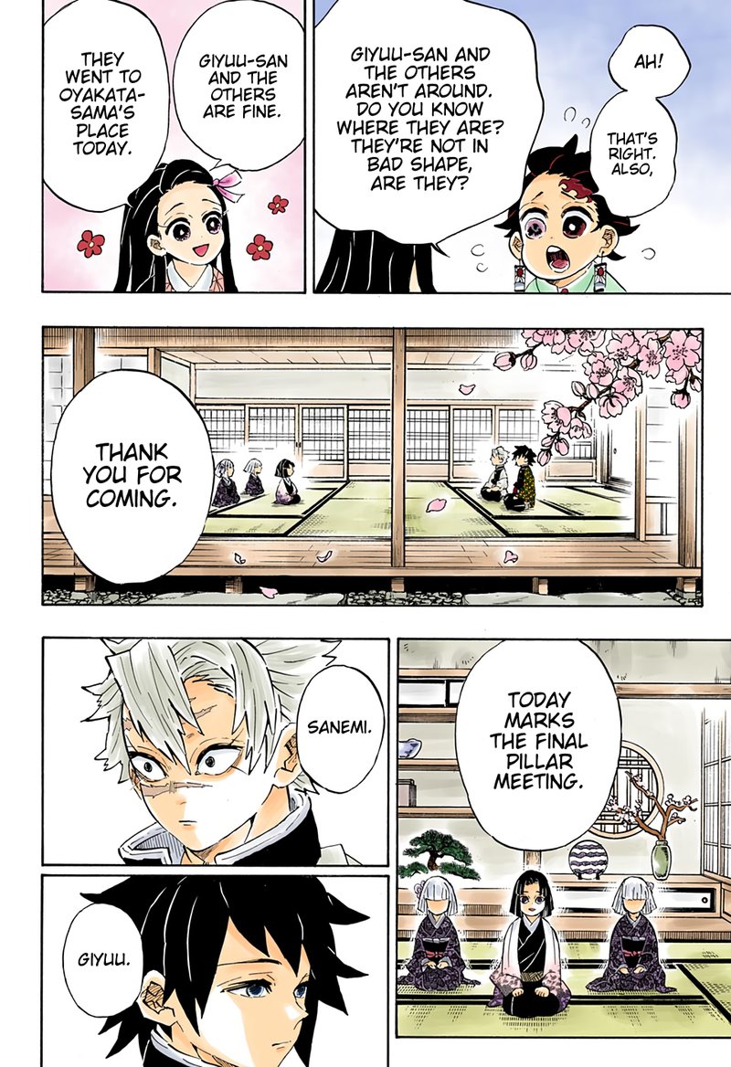 Kimetsu No Yaiba 204 8