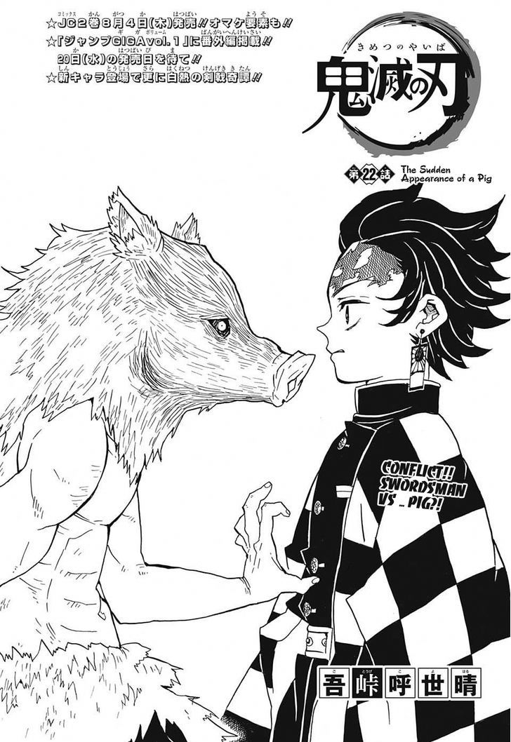 Kimetsu No Yaiba 22 1