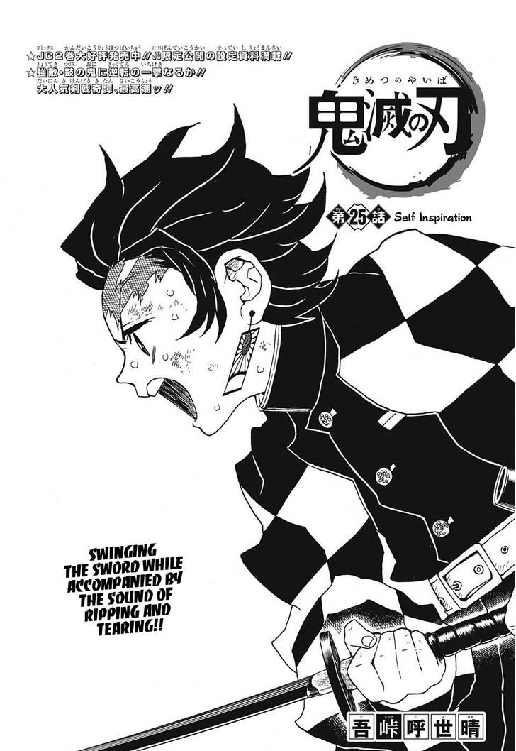 Kimetsu No Yaiba 25 1