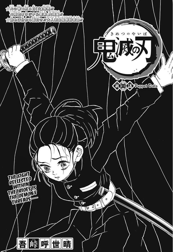 Kimetsu No Yaiba 30 1